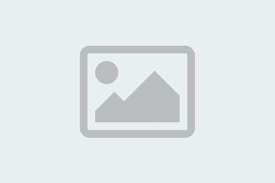 2025 Toyota Rav4 Xle Premium For Sale